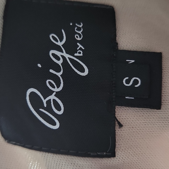 Beige by Eci, Swing Dress, Sm with embrodierd net of Maroon Roses and Leaves - Picture 5 of 6